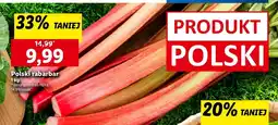 Lidl Rabarbar Polski oferta