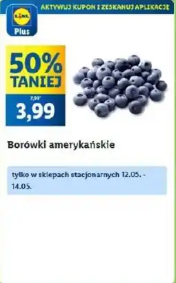Lidl Borówki amerykańskie oferta