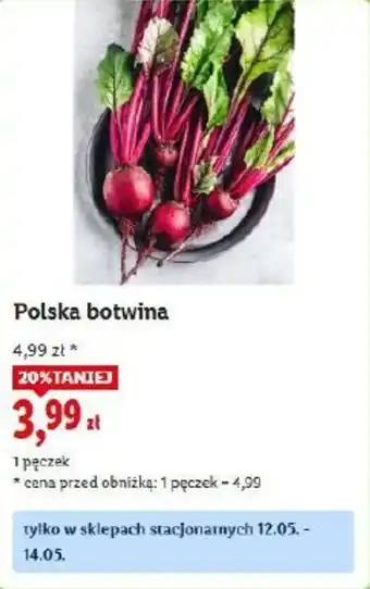 Lidl Polska botwina oferta