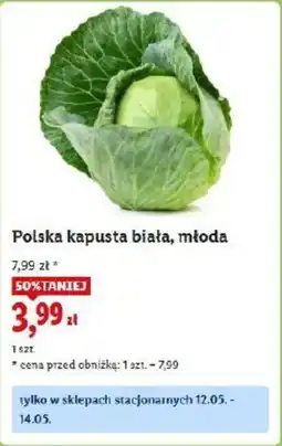 Lidl Polska kapusta biała, młoda oferta