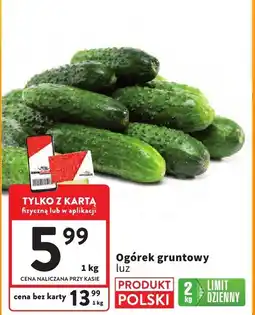Intermarche Ogórek gruntowy luz 1kg Intermarche oferta