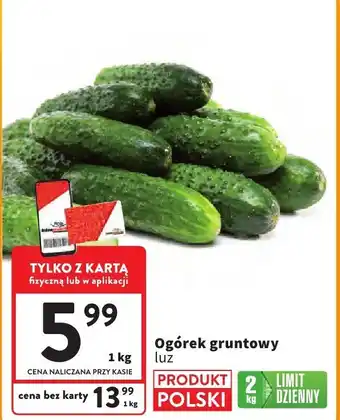 Intermarche Ogórek gruntowy luz 1kg Intermarche oferta