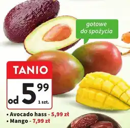 Intermarche Avocado hass 1 szt. Intermarche oferta