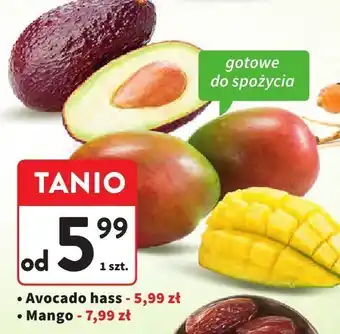 Intermarche Avocado hass 1 szt. Intermarche oferta