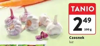 Intermarche Czosnek luz 100g Intermarche oferta