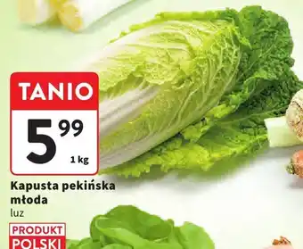 Intermarche Kapusta pekińska młoda luz Intermarche oferta