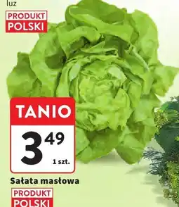 Intermarche Sałata masłowa 1 szt. Intermarche oferta