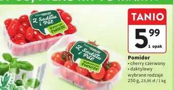 Intermarche Pomidor cherry czerwony daktylowy wybrane rodzaje Intermarche oferta