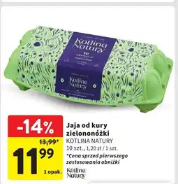 Intermarche Jaja od kury zielononóżki Kotliny Natury 10 szt oferta