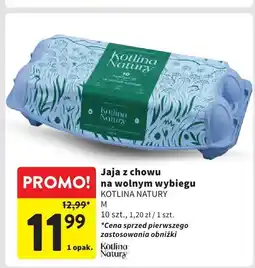 Intermarche Jaja z chowu na wolnym wybiegu Kotliny Natury M 10 szt oferta