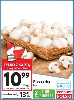 Intermarche Pieczarka luz 1kg Intermarche oferta