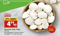 Biedronka Pieczarka opak 500 g oferta