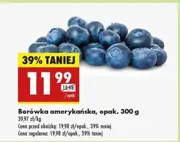 Biedronka Borówka amerykańska opak 300 g oferta