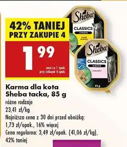 Biedronka Karma dla kota Sheba tacka 85 g oferta