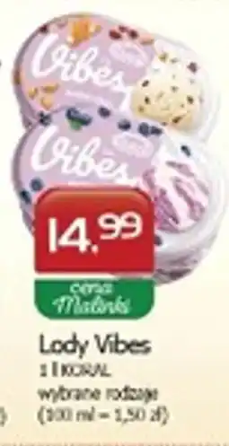 Malinka Market Lody Vibes Koral oferta