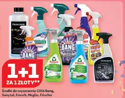 Auchan Odtłuszczacz Frischer oferta