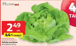Auchan Sałata masłowa oferta