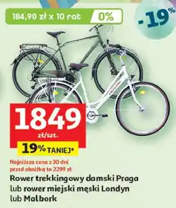 Auchan Rower miejski malbork oferta
