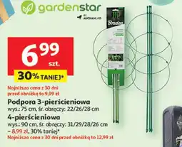 Auchan Podpora pierścieniowa do roślin 90 cm Garden Star oferta