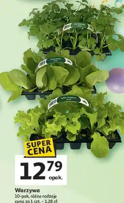 Auchan Seler naciowy oferta