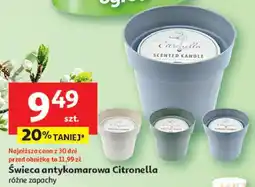 Auchan Świeca na komary Citronella oferta