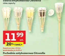 Auchan Pochodnia antykomorowa citronella oferta