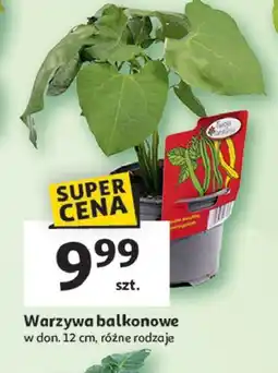 Auchan Fasolka szparagowa oferta