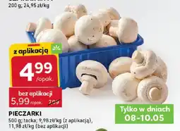 Stokrotka Pieczarki oferta