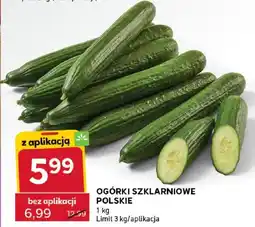 Stokrotka Ogórki szklarniowe polskie oferta