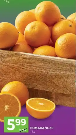 Stokrotka Pomarańcze oferta