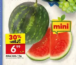 Twój Market Arbuz mini oferta