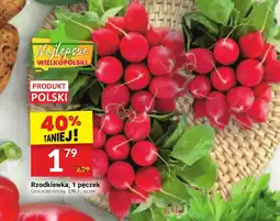 Twój Market Rzodkiewka oferta