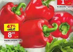Twój Market Papryka czerwona oferta
