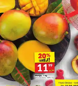 Twój Market Mango oferta