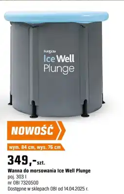 OBI Wanna do morsowania Ice Well Plunge oferta
