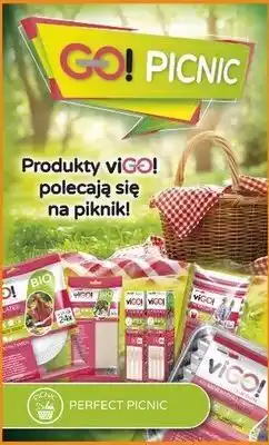 Kaufland Tacka do grilla prostokątna Vigo! oferta