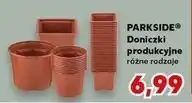 Kaufland Doniczka Parkside oferta