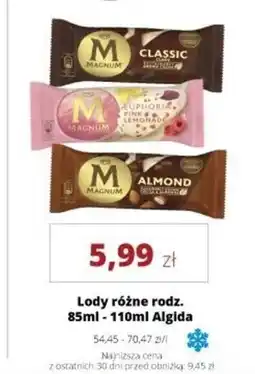 Torimpex Lody Magnum oferta