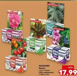 Kaufland Nawóz w tabletkach do roślin balkonowych Silva Tabs oferta