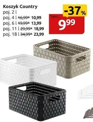 Black Red White KOSZYK COUNTRY oferta