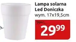 Black Red White DONICZKA SOLARNA oferta