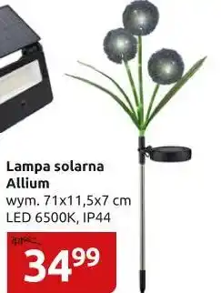 Black Red White Lampa SOLARNA ALLIUM oferta