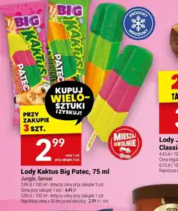 Twój Market Lody Kaktus Big Patec oferta