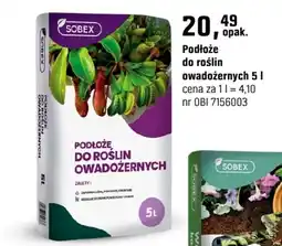 OBI Podłoże do roślin owadożernych oferta