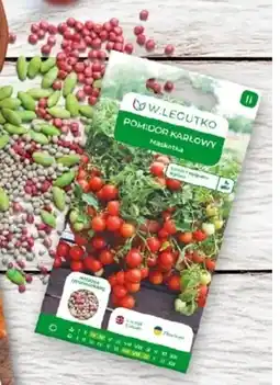 OBI Nasiona pomidora Maskotka, otoczkowane oferta