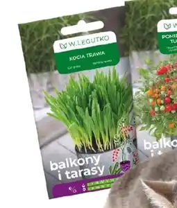 OBI Nasiona kociej trawy oferta