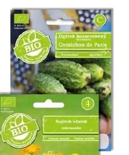 OBI Nasiona ogórka Cornichon de Paris oferta