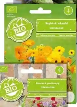 OBI Nasiona nagietka lekarskiego oferta