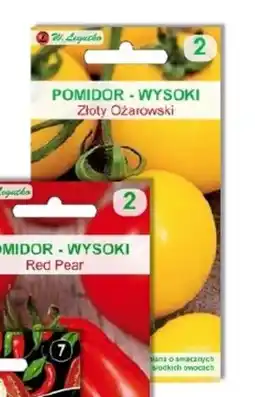 OBI Nasiona pomidora Złoty Ożarowski oferta