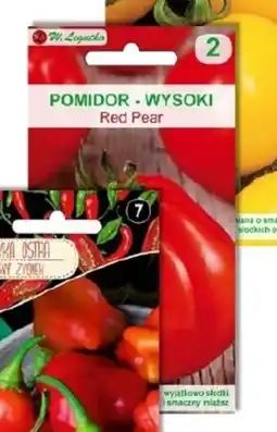 OBI Nasiona pomidora Red Pear oferta